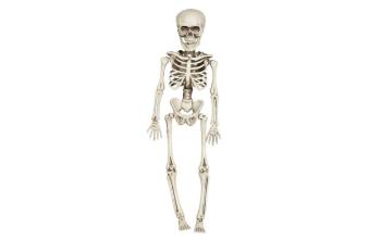 Skeleton - Kostra k zavěšení 40 cm - Halloween - GUIRCA