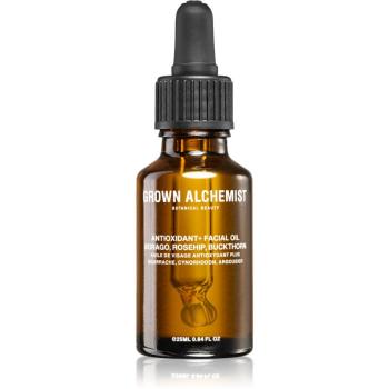 Grown Alchemist Activate intenzivní antioxidační pleťový olej na den a noc šípková růže a rakytník 25 ml