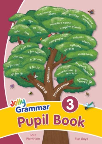 Grammar 3 Pupil Book - Sara Wernham, Sue Lloyd