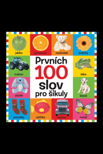 Prvních 100 slov pro šikuly