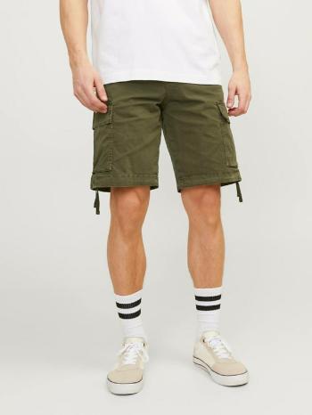 Jack & Jones Cole Kraťasy Zelená