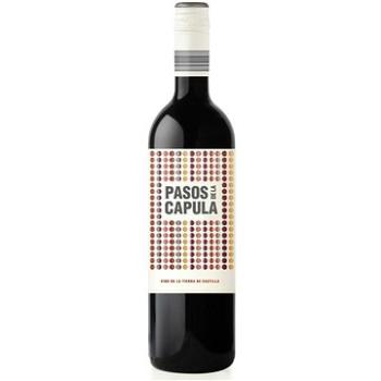 BODEGAS ABANICO Pasos de la Capula Tempranilo BIO 2020, 0,75 l (8437012917316)