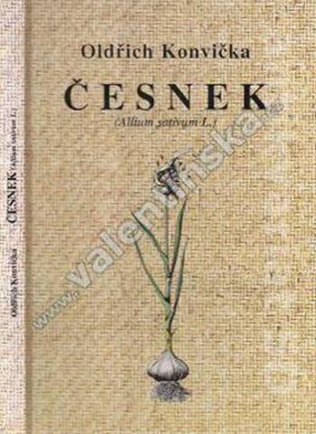 Česnek (Allium sativum L.) - Konvička Oldřich