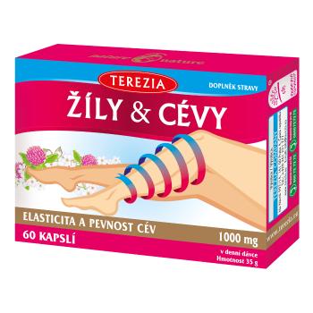 ŽÍLY & CÉVY