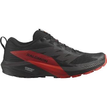 Salomon SENSE RIDE 5 Pánská trailová obuv, černá, velikost 42 2/3