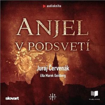 Anjel v podsvetí ()