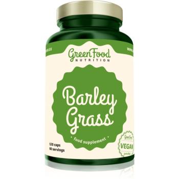 GreenFood Nutrition Barley Grass kapsle s antioxidačním účinkem 120 cps