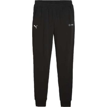 Puma MERCEDES-AMG PETRONAS F1 ESSENTIALS PANTS Pánské tepláky, černá, velikost