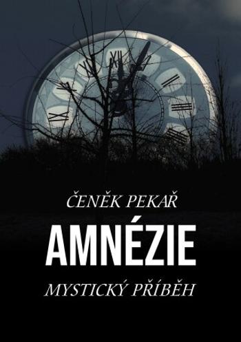 Amnézie - Čeněk Pekař - e-kniha