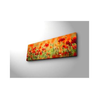 Sean fali kép háttérvilágítással, 90 x 30 cm