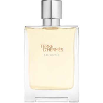 HERMÈS Terre d’Hermès Eau Givrée parfémovaná voda pro muže 100 ml