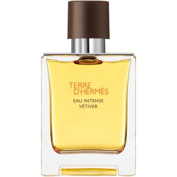 HERMÈS Terre d’Hermès Eau Intense Vétiver parfémovaná voda pro muže 50 ml