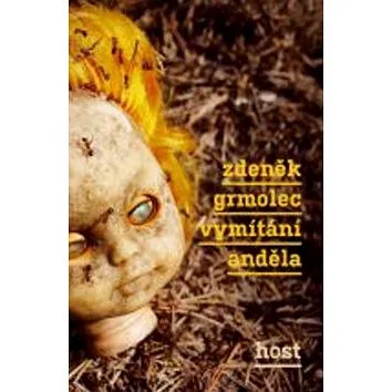 Vymítání anděla (978-80-7294-327-2)