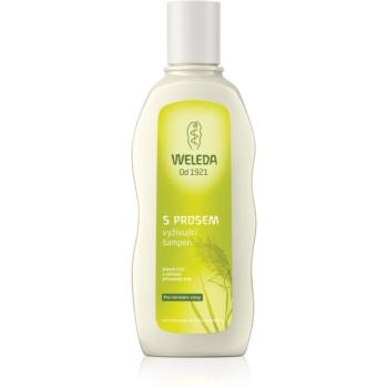 Weleda Hair Care vyživující šampon s prosem pro normální vlasy 190 ml