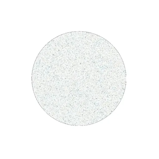 STALEKS Náhradní brusný papír pro pedikérský kotouč Pro L hrubost 100 (White Refill Pads for Pedicure Disc) 50 ks