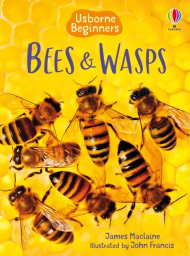 Bees and Wasps - James Maclaine
