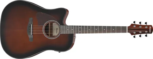 Ibanez AAD51LCE-DVS