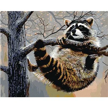 Zuty - Malování podle čísel - MÝVAL VISÍCÍ NA VĚTVI (AL AGNEW), 80x100 cm, vypnuté plátno na rám (HRAmmb05835nad)