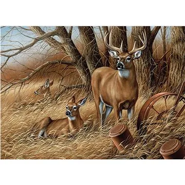 Cobble Hill Puzzle V bezpečí venkova 1000 dílků (625012800549)