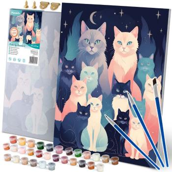 Számokkal festhető kép 40x50 cm Massido Cats