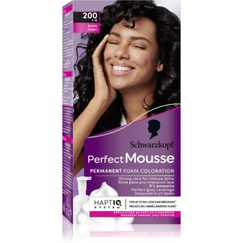 Schwarzkopf Perfect Mousse permanentní barva na vlasy odstín 200 Černý 2x35 ml