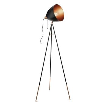 Stojacia lampa Eglo Chester 49386