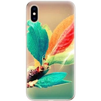 iSaprio Autumn pro iPhone XS (aut02-TPU2_iXS)