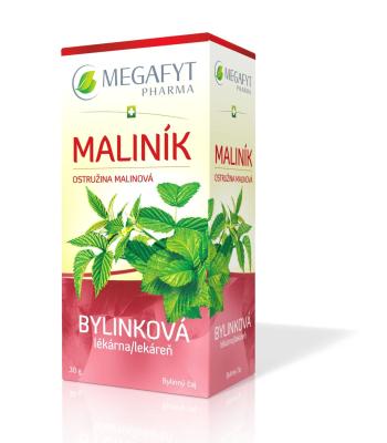 Megafyt Bylinková lékárna Maliník 20x1,5 g