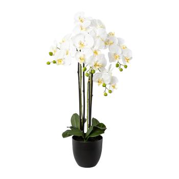 Gasper Umělá orchidej v pryskyřicovém květináči, 83 cm, bílá