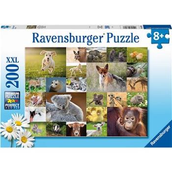 Ravensburger Puzzle 133536 Koláž Zvířecích Mláďat 200 Dílků  (4005556133536)