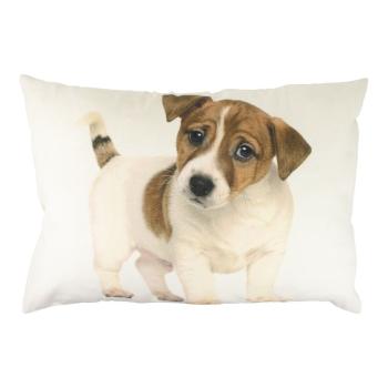 Plátěný polštář se štěnětem Jack Russel  - 35*50*10cm GKHKPJR