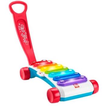 Fisher Price Obří xylofon CZ/SK/EN/HU/PL (194735088317)