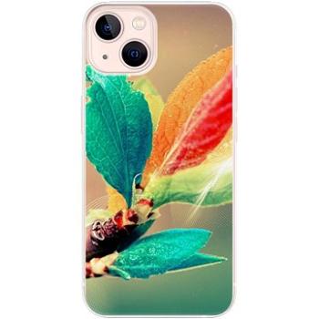 iSaprio Autumn 02 pro iPhone 13 (aut02-TPU3-i13)