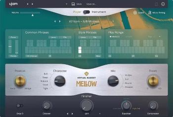 UJAM Mellow 2 (Digitální produkt)