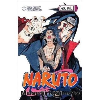 Naruto 43 Ten, který zná pravdu (978-80-7449-725-4)