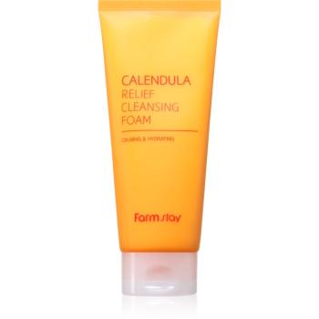 Farmstay Calendula zklidňující čisticí pěna 180 ml