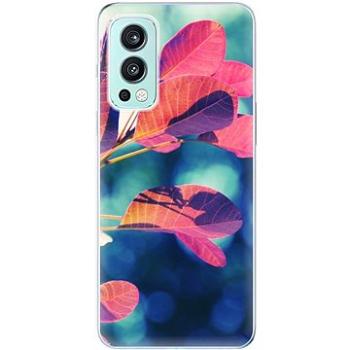 iSaprio Autumn 01 pro OnePlus Nord 2 5G (aut01-TPU3-opN2-5G)