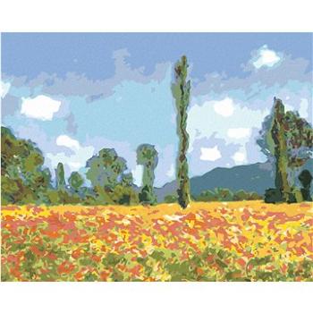 Diamondi - Diamantové malování - MAKOVÉ POLE V GIVERNY (CLAUDE MONET), 40x50 cm, bez rámu a bez vypn (606449A)