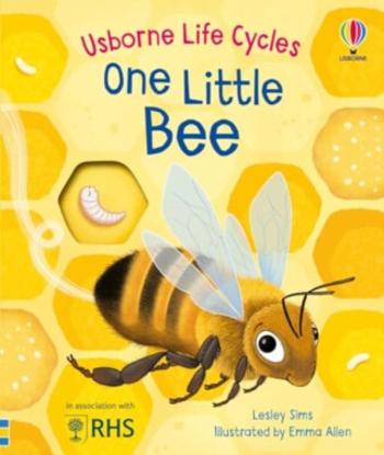 One Little Bee - Lesley Sims