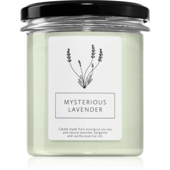 Hagi Mysterious Lavender vonná svíčka 230 g