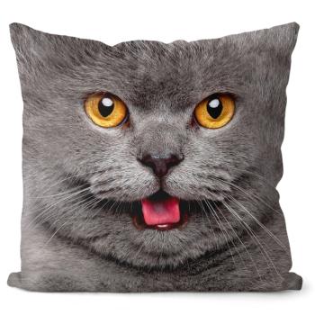 Vankúš  Mačička grey (Velikost: 55 x 55 cm)