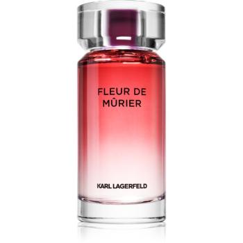 Karl Lagerfeld Fleur de Mûrier parfémovaná voda pro ženy 100 ml