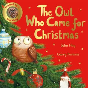 The Owl Who Came for Christmas - Hay John