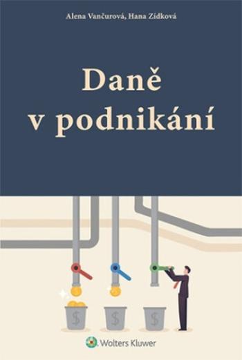 Daně v podnikání - Alena Vančurová, Hana Zídková