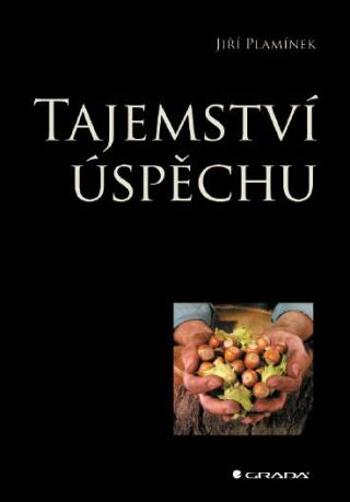 Tajemství úspěchu - Jiří Plamínek - e-kniha