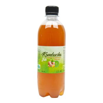 Kombucha zázvor s limetkovou příchutí 500 ml BIO   STEVIKOM