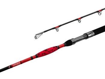 Delphin prut danger catfish 3,1 m 350 g