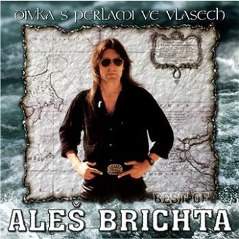 Brichta Aleš: Dívka s perlami ve vlasech - CD (SU6567-2)