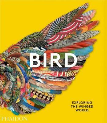 Bird: Exploring the Winged World - Jen Lobo, Katrina van Grouw