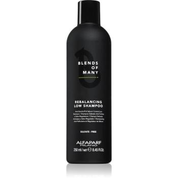 Alfaparf Milano Blends of Many Rebalancing šampon proti lupům 250 ml